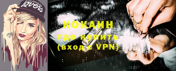 молекула духа Алексин