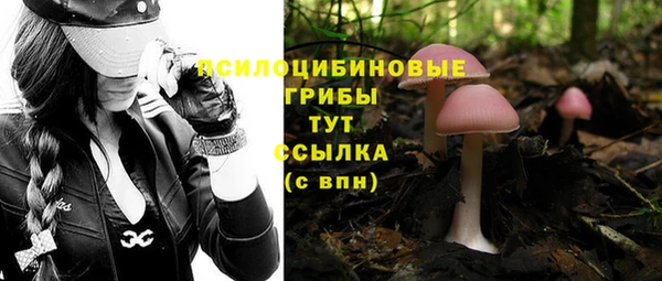 синтетический гашиш Алексеевка